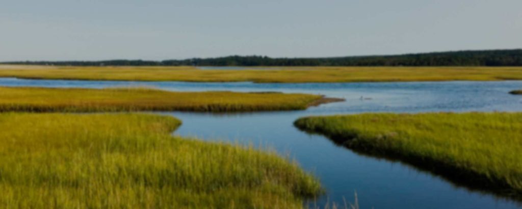 A river winds thorugh a green marsh on Cape Cod